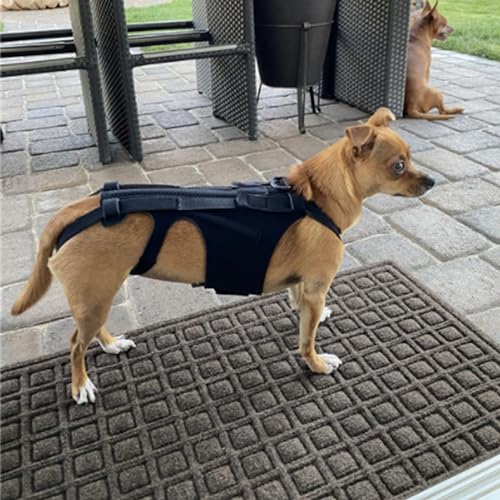 Luqeeg Dog Back Bracer for Spinal Surgery Recovery, Herniated Disc, Arthritis - Adjustable Support with Gentle Pressure, Comfortable &, Ideal for Dogs, (M)
