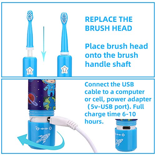 OJV 8620 Musical Electric Toothbrushes & 2 Pack Replacement Toothbrush Heads (Bule)