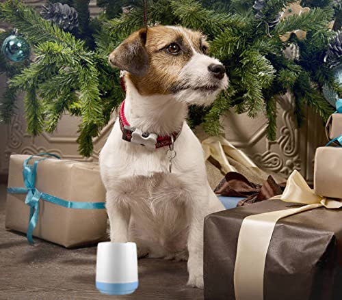 Lzansuii Dog Paw Cleaner, Removable Soft Silicone Bristles Brush Paw Cleaner Cup Fit (With 1 Towel, 1 Toothbrush) for Pet Massage Care Dirty Claws (Small/Small) S (Pack of 1) - BeesActive Australia