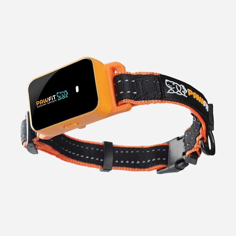 Pawfit GPS Tracker Cover for Dogs - Black Black - BeesActive Australia