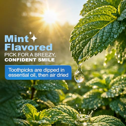 The Natural Dentist Stim-U-Dent Plaque Removers, Thin, Mint Flavor -160 ct. (Pack of 6) 160 Count (Pack of 6)