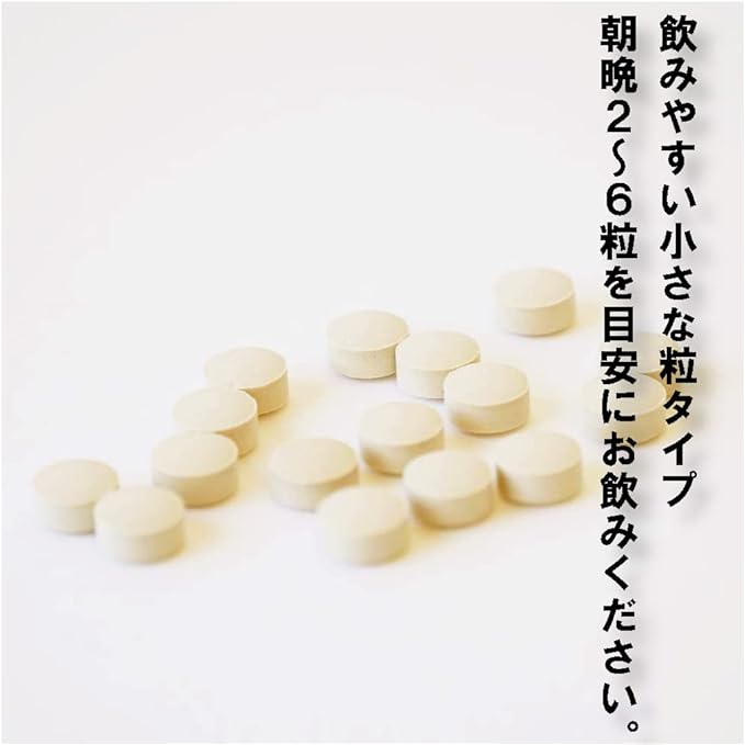 Nishihara Health Life Research Institute Pakchi Energy Gold [Bottle Type 2] Small Supplement, 8.5 oz (250 mg), Deodorizing SOD Bottle, 1 Bottle, 120 Tablets (2-6 Tablets Per Day) x 2 Bottles - BeesActive Australia