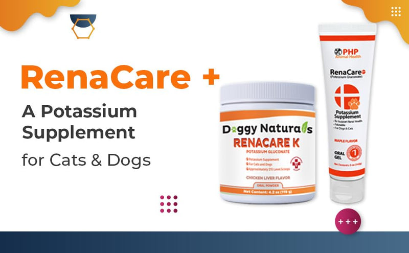 RenaCare K is for Renal K (Potassium Gluconate) Potassium Supplement Gel for Dogs and Cats, (5 oz) with Maple Flavor (Made in U.S.A) 5 oz - PawsPlanet Australia