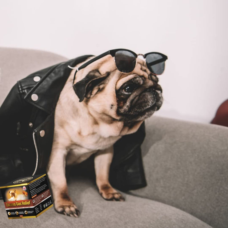 dog flatulence treatment - 60 natural dog flatulence chews recommended by vet (Bacon flavour) Bacon flavour