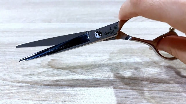 Hair Cutting Scissors Kit Professional, 6” Japanese 440C Shears Sliver-5pcs