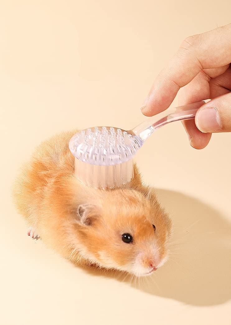 4 Pack Hamster Brush - Small Animal Bath Brush with Lid Soft Cleansing Brush Massage Combs for Hedgehog Guinea Pig Rabbit Chinchilla Ferret Small Animal Grooming Tool Cleaning Supplies-Random Color - BeesActive Australia