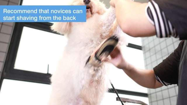 oneisall Low Noise Dog Clippers Grooming Kit for Dogs Cats Pets Gold