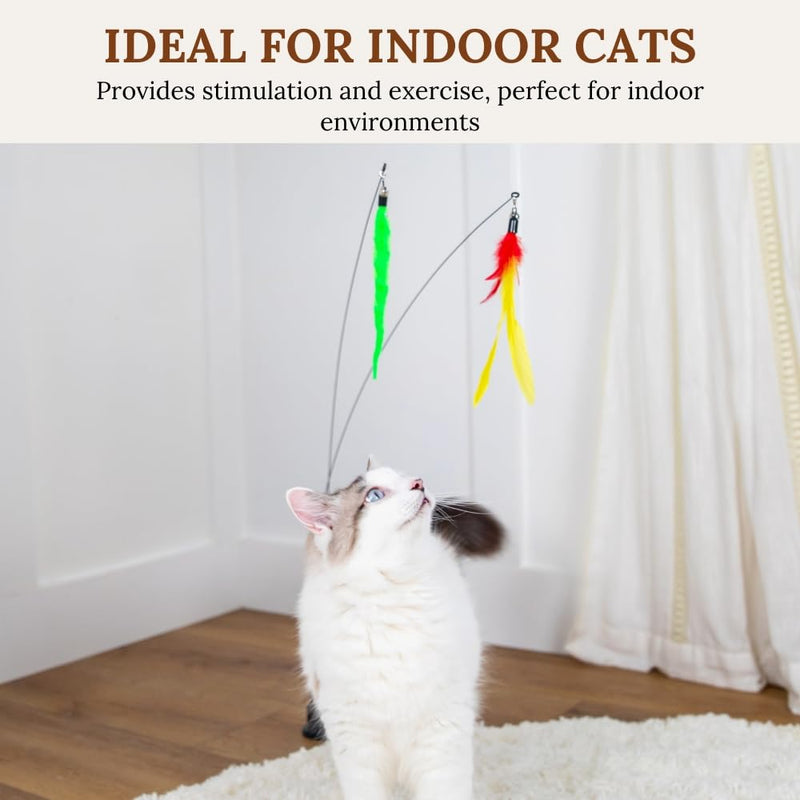 Interactive Cat Toys For Indoor Cats Cat Chew Toy Catnip Toys For Cats Suction Cup Cat Toys For Indoor Cats Cat Wand Toys For Indoor Cats Cat Toys Wand Feather Wand Cat Toy Cat Nip Toys Cat Kitten Bundle 9 - BeesActive Australia