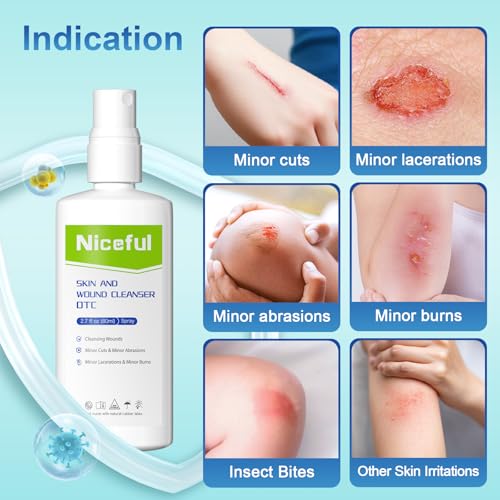 First Aid Antiseptic Spray Sting-Free Wound Cleanser 2.7fl oz(Pack of 2) 2.7 Fl Oz(Pack of 2)