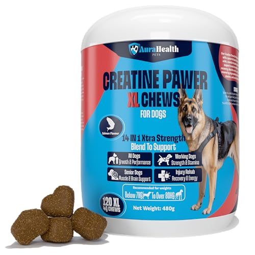 Dual-Action Strength & Gut Health Bundle for Medium to Large Dogs (120 XL Chews x2)