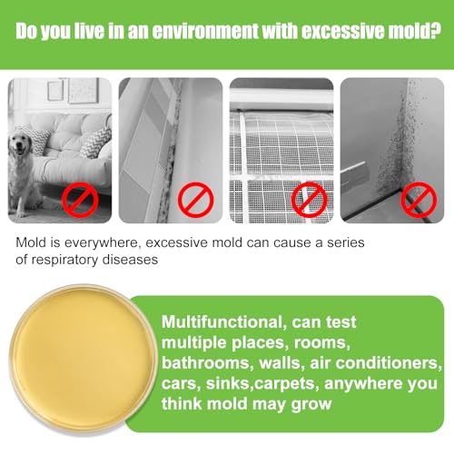 Mold Test Kit for Home - 6 Simple Detection Tests,Test HVAC System,Home Surfaces,&Indoor Air Quality Testing Kits,DIY black Mold Detector at Home,Includes Detailed Mold Identification Guide,air Tester