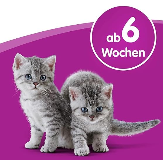 Whiskas Cat Milk x 200ml pack of 6