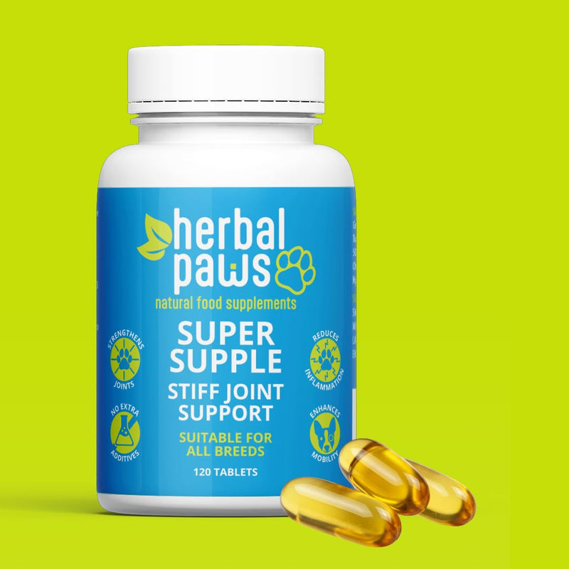 Super Supple Dog Joint Supplement - Green Lipped Mussel and Turmeric - Plant-Based - Supports Mobility and Healthy Joints