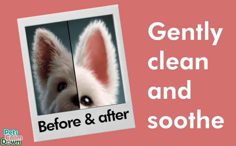 Ear Wash | Antibacterial Dog Ear Cleaner Drops | Soothes Itching, Odors & Discomfort | Removes Wax Build-Up, First Aid Antiseptic Ear Drops for Dogs | 118ml