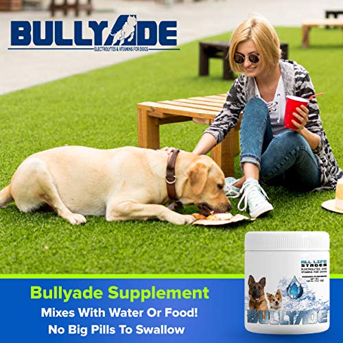 Natural Dog Supplement with 18 Vitamins & Minerals. Mixes with Water or Food. (Chicken) Chicken