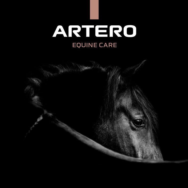 Artero horse brush. horse mane and tail brush. mane and tail brush made of elegant and resistant bamboo. horse grooming supplies - BeesActive Australia