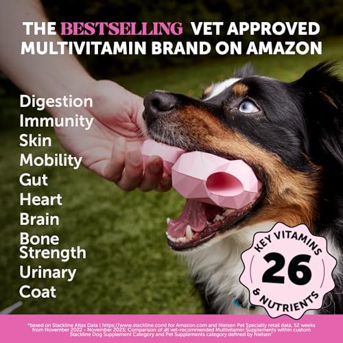 Pet Honesty Dog Wellness Virtual Bundle – 10-in-1 Multivitamin Supplement (Peanut Butter, 90 Ct) + Brush Buddies Dental Sticks for Small Dogs (25 Ct) – Daily Health & Dental Support