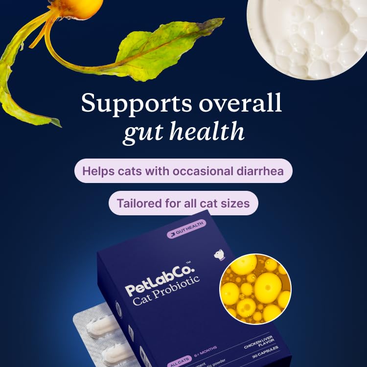 PetLab Co. Probiotics for Cats, Support Gut Health, Occasional Diarrhea, Digestive Health & Immune Support - Easy to Use - 30 Count