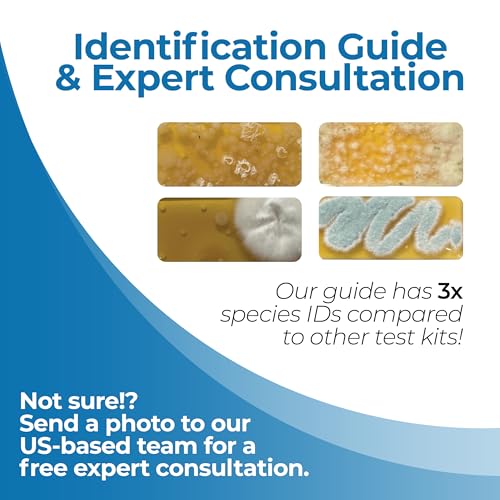 Indoor Air Quality Test Kit by Detekt (USA) for Mold/Bacteria - Home/HVAC 6