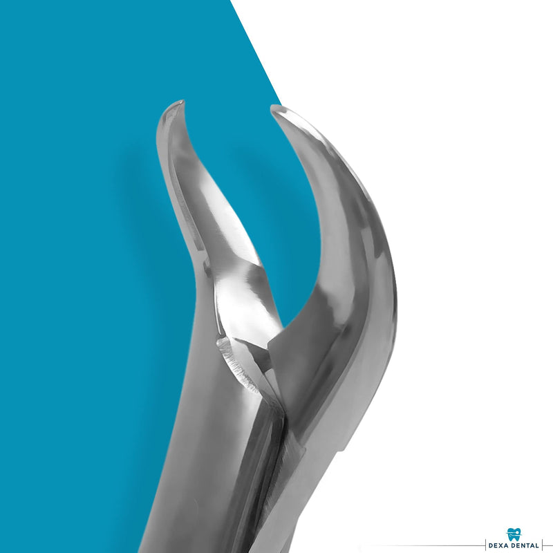 Heavy Duty Dental Extracting Forceps # 150# 151# 23, Apical Forceps, Cowhorn Forceps, Lower Molars, Atraumair - 3 Pcs #150+151+23 - BeesActive Australia