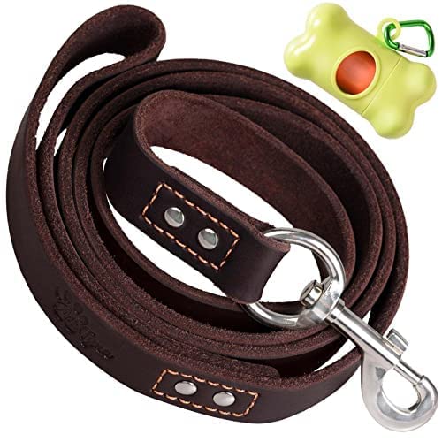 ADITYNA Leather Dog Leash 6 ft x 3/4 inch - Soft and Strong Leather Leash for Large and Medium Dog Breeds - Heavy Duty Dog Training Leash (Brown) L - 6 ft x 3/4 inch Brown - BeesActive Australia