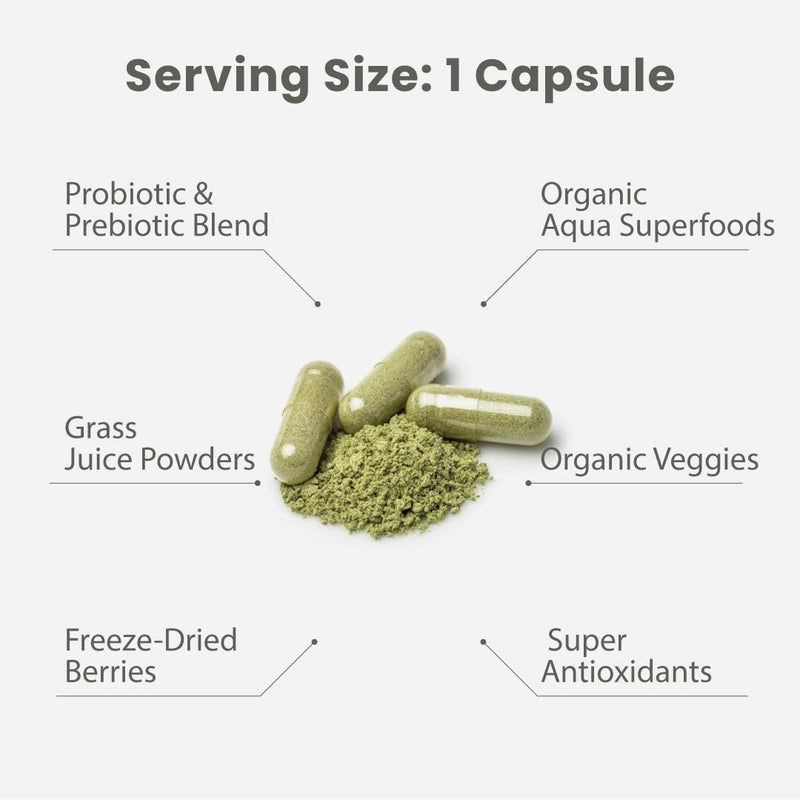 Paradise Herbs & Essentials Once Daily Multivitamin No Iron 60 Count | Features 48 organic superfoods, probiotics, and vitamins A, B12, C, D and K2 in vegetarian capsules for routine use 60 Count (Pack of 1)