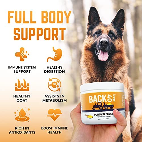 Pumpkin Powder for Dogs, Powdered Pumpkin for Dogs with Vitamins A, C & E, Fiber-Rich Vitamins for Optimal Pet Health, Combat Constipation, Dog Multivitamin for Digestive Health, 8.1 oz 30 Day Supply - PawsPlanet Australia