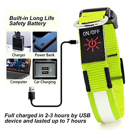LED Dog Collar- Light up Dog Collars, LED Collar Waterproof, Adjustable Flashing Dog Collar, Rechargeable Dog Collar Visiblity & Safety for Your Dogs (Green, Large) Green - BeesActive Australia