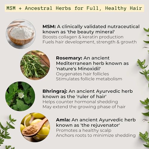 Qhemet Biologics MSM + Rosemary Scalp Nutrients Balm | Food for Hair Growth | MSM, Rosemary, Bhringraj, Castor Oil & Coconut Oil | For Dry Scalp, Thinning & Slow Growth | Vegan (4 oz)