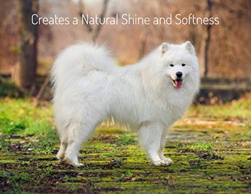 Minksheen Dog Grooming Shampoo and Conditioner, concentrated 16 oz, Makes up to one GALLON ready to use shampoo, natural Itch relief for pets, PH Balanced, works like a cedar bed, Made in USA - BeesActive Australia