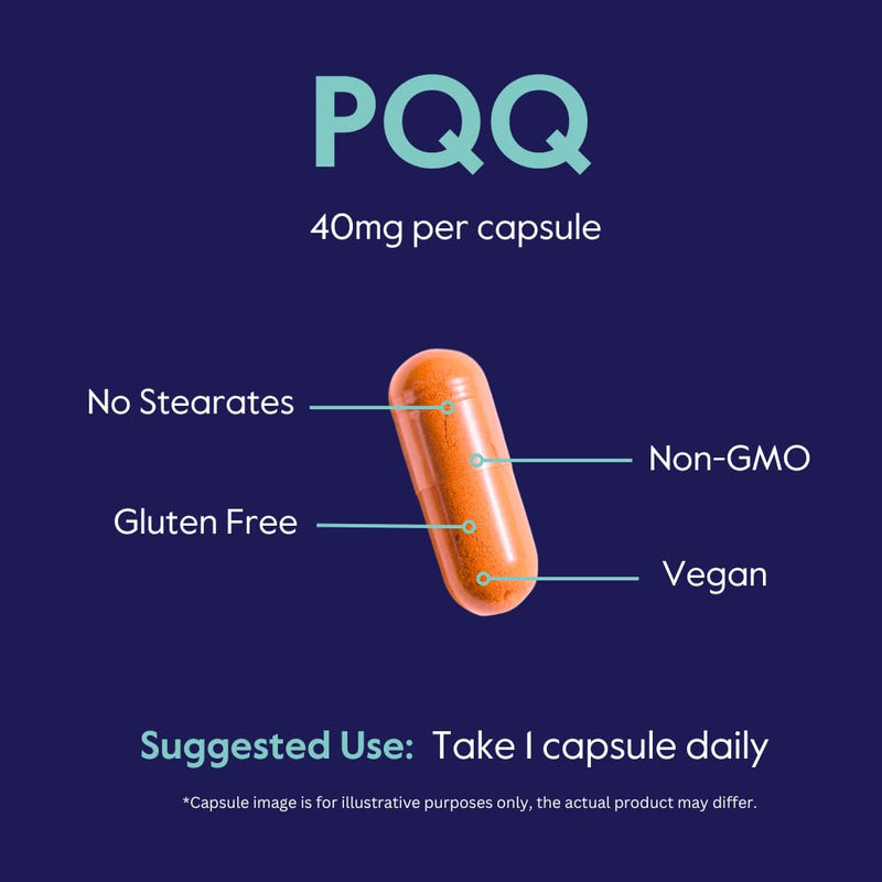 BESTVITE PQQ 40mg (Pyrroloquinoline Quinone) (120 Veg Caps)(60x2) | Extra Strength - No Stearates - Vegan - Non GMO - Gluten Free - Cellular Energy & Brain Support* - Easy to Swallow Capsules 1 Count (Pack of 120)