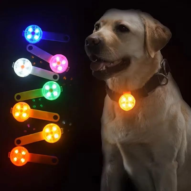 AQACoach Safety LED Flashing Light for Dogs, Cats - USB Rechargeable LED Light Pendant Dog, 3 Flashing Modes Waterproof Safety Pet Lights - BeesActive Australia