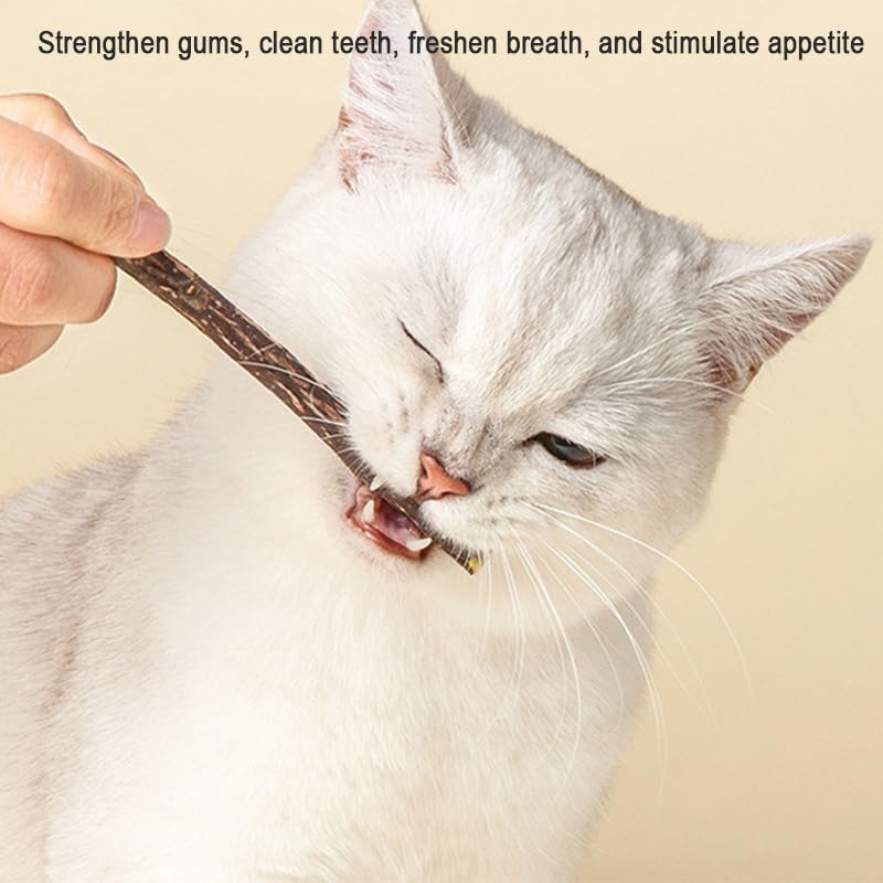Natural Silvervine Sticks for Cats - 100% Wild Catnip Chew Sticks, Dental Care & Tartar Removal, Digestive Health, Kitten & Adult Cat Enrichment, 15pcs, High Potency Cat Attractant