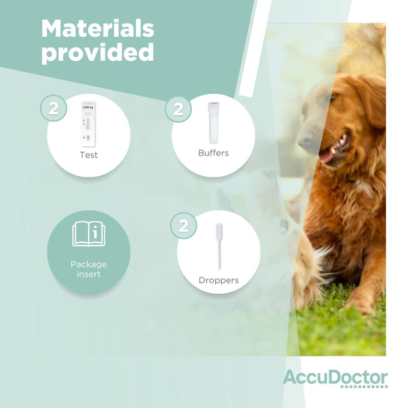 2 Test Accudoctor Heartworm Ag Dirofilariasis CHW Ag Heartworm Disease Dirofilariasis Dirofilaria Pets Dogs Canine Rapid Test Chair Dog Test Dog Dog Pet medium rapid test - BeesActive Australia