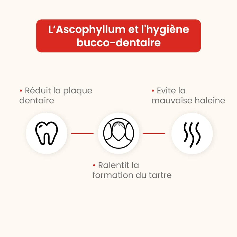 Ascophyllum nodosum Powder for Dogs and Cats - Oral Hygiene - Reduces Dental Plaque and Tartar, Prevents Bad Breath - 100g Pot - Developed in France