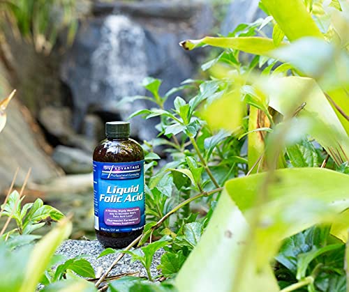 Liquid Folic Acid 800 MCG, 8 oz.