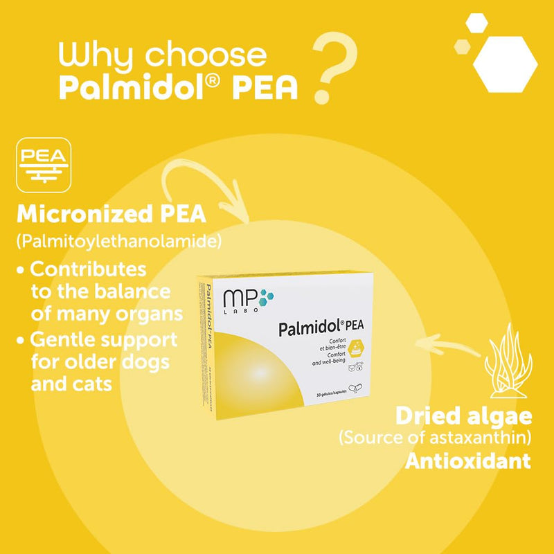 Palmidol® PEA for Dogs and Cats – 30 Sprinkle Capsules | Ideal for Senior Pets & Wellness Support