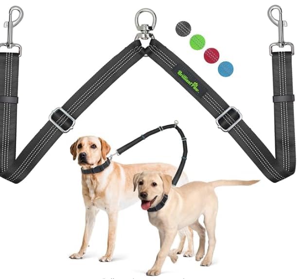 Double Dog Leash, Two Dog Leash Splitter, Adjustable Length and Tangle Free, Heavy Duty Walking Training Dual Dog Leash Extension for Medium and Large Dog, Black Medium+Large - BeesActive Australia