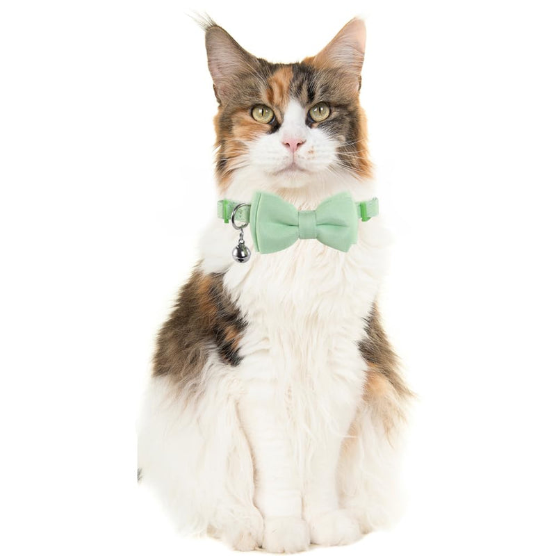 2 Pack/Set Cat Collar Breakaway with Cute Bow Tie and Bell Fruit for Kitty Adjustable Safety kiwi fruit - BeesActive Australia