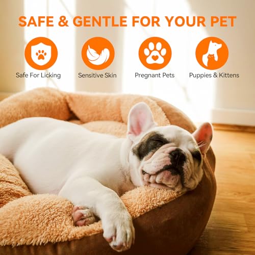 PUAINTA Dog Hot Spot Spray for Itch Relief - Quantum Silver Pet Skin Care 2oz