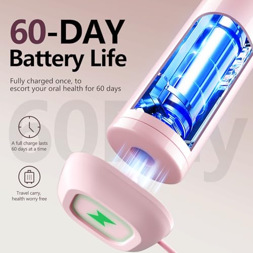 Sonic Electric Toothbrush with Light 4 Brush Heads for Adults and Kids, One Charge for 60 Days, Wireless Fast Charge, 3 Modes, Electric Toothbrushes（Pink）