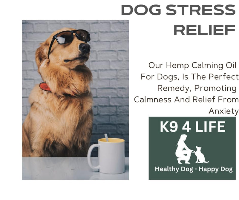 Hemp Oil for Dogs – Calming Anxiety Relief, Joint Support, Skin & Coat Care – Natural All-in-One Dog Supplement for Stress, Mobility & Digestion – K9 4 Life Large