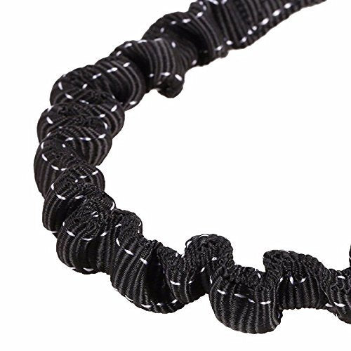 No Tangle Pet Leash Double Dog Leash Coupler Walker Training Leash for Small Medium Dog - Three Dogs Leash Splitter Dog Trainer Leash… - BeesActive Australia