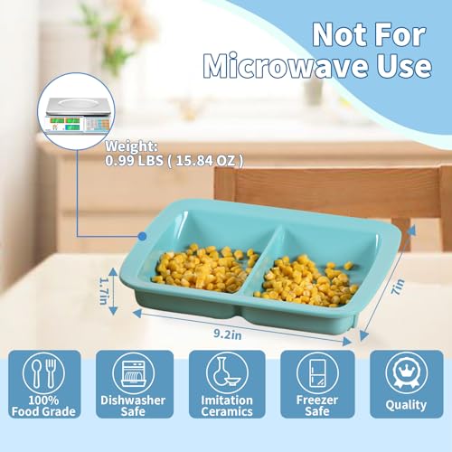 EZ Assistive Adaptive divided Plates with Extra Wall,Spill-proof plate for Elderly, Non-slip Disabled Products for Handicapped to self-feeding (Melamine 2-Compartment Dinner plate) Melamine 2-Compartment Dinner plate