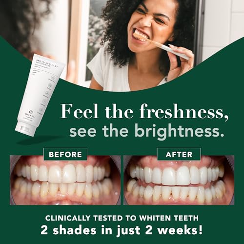 Terra & Co. Brilliant Black Hydroxyapatite Toothpaste for Whitening Teeth – USA-Made - Natural Remineralizing Toothpaste, Fluoride-Free, Vegan, SLS-Free, Low Abrasion – Mint, 3.4 oz Whitening - Mint 3.4 Ounce (Pack of 2)