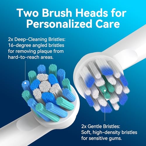 SEAGO Rotating Electric Toothbrush with 8 Round Brush Heads, with 5 Cleaning Modes, Sonic Technology Whitening Teeth in 14 Days, for Adult and Kids，SG-2603 (Black) Black