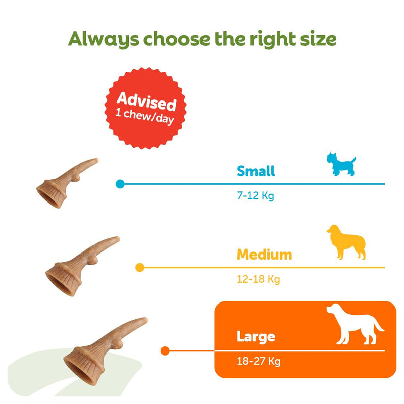WHIMZEES Antler L, 6 Pieces – Dog Dental Stix, Size L, Dog Dental Sticks for Large Breeds, Natural and Grain Free, Rawhide-Free, Vegetarian, No Added Sugar 360 g (Pack of 1)