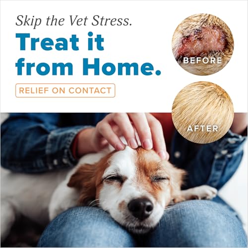 TropiClean HomeVet Medicated Cream, Hot Spot Treatment for Dogs, 1oz 1oz Cream