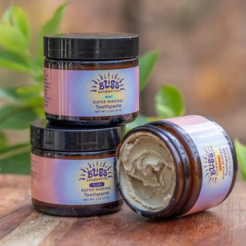 Bliss Energetics Fluoride Free Remineralizing Herbal Toothpaste - Hydroxyapatite, Coconut Oil, Castor Oil, Shilajit and Turmeric - 2oz Plain - Non-Abrasive