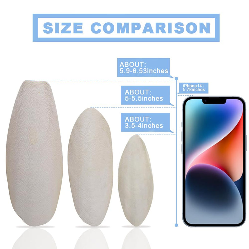 Jmxu's 3.5"-4" Cuttlebone for Birds Parakeets, Cuddle Bone with Metal Holder, Cuttlefish Bone for Sharp Beaks, Natural Birds Calcium for Parrots Cockatiels Tortoises, 4 Pcs 4 Pcs (3.5"-4") - BeesActive Australia